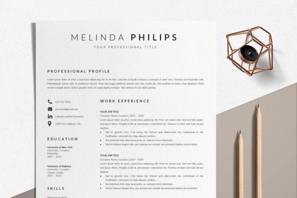 Download Professional Resume Template Word - Premium Resources