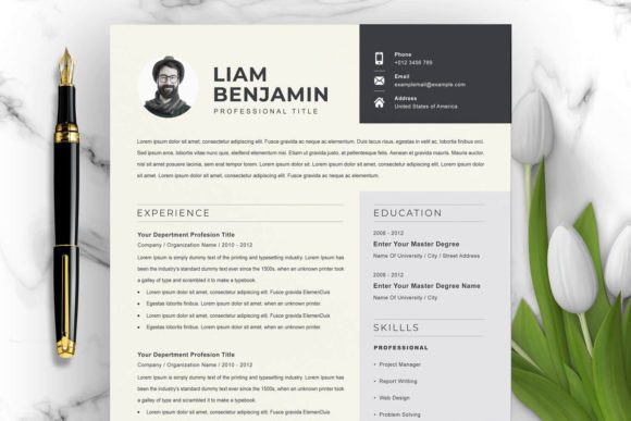 Download Curriculum Vitae / CV Template - Cv template Collection